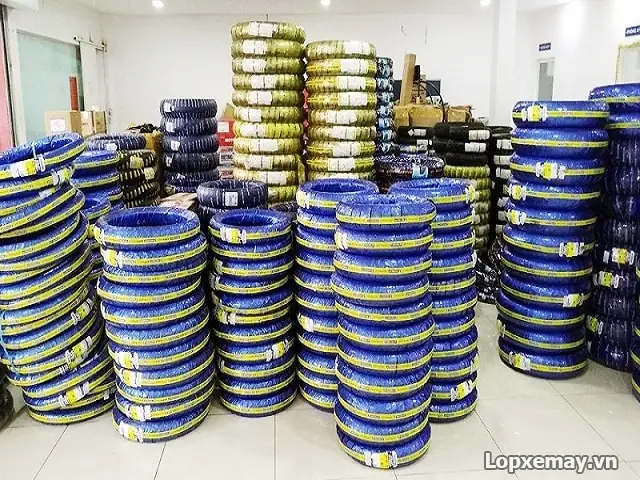 Vỏ Đặc Ruột Xe Đạp (lốp Đặc) Là Gì? So Sánh Ưu/nhược Điểm, Có Nên Thay & Top Dòng Nên Mua 2024