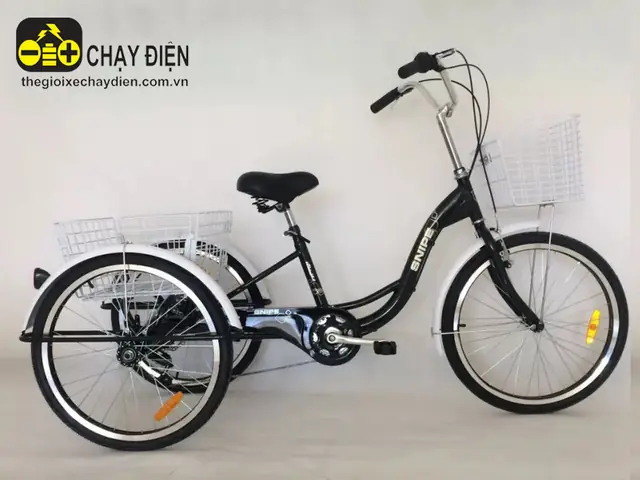 Cách Chọn Xe Đạp 3 Bánh Cho Người Già An Toàn, Dễ Sử Dụng