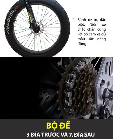 Xe Đạp Bánh To Giá Bao Nhiêu? Bảng Giá Và Cách Chọn Xe Bánh Béo