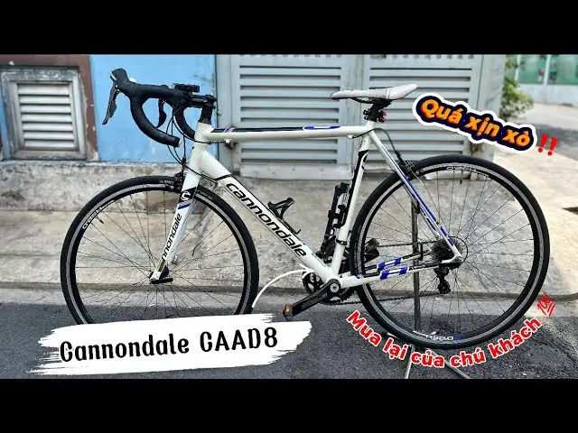 Xe Đạp Cannondale Đã Qua Sử Dụng: Danh Sách Model Cũ, Nhật Bãi & Giá Bán