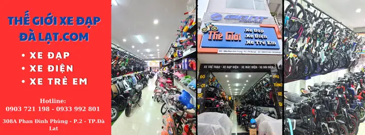Mua Xe Đạp Cũ Đà Lạt: Cách Chọn, So Sánh Giá Và Lưu Ý Khi Mua Để Không Bị Lừa