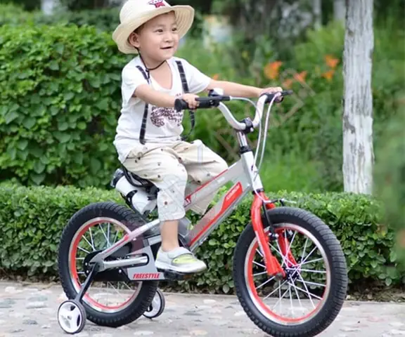 Mua Xe Đạp Trẻ Em Cũ 14-20 Inch Giá Rẻ - Shopee, Chợ Tốt, Hà Nội, HCMC Mua Xe Đạp Trẻ Em Cũ 14-20 Inch Giá Rẻ - Shopee, Chợ Tốt, Hà Nội, HCMC