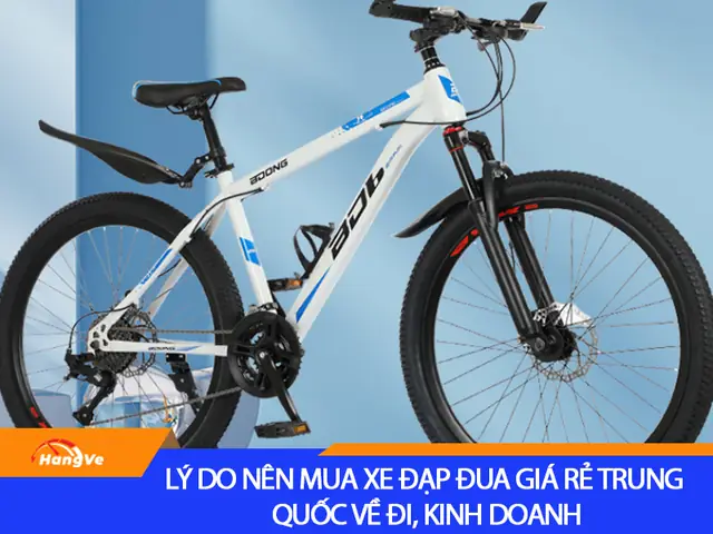 Xe Đạp Forever Của Nước Nào? Review Chi Tiết Chất Lượng, Giá, Các Dòng Xe Hot & Kinh Nghiệm Chọn Mua