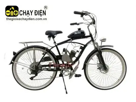 Xe Đạp Gắn Động Cơ 2 Thì Phong Cách Cổ Điển: Review, Tiêu Chí Chọn Mua Và Giá Tốt Nhất