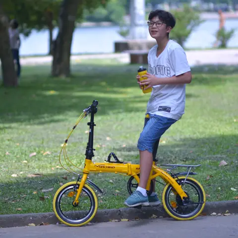 Mua Bán Xe Đạp Gấp Cũ Giá Rẻ - Chợ Tốt, Facebook, Lazada