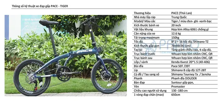 Review Xe Đạp Gấp Thái Lan 2025: Top Dòng Nổi Bật, Giá Cả, Cách Chọn & Lưu Ý Mua Không Lỡ