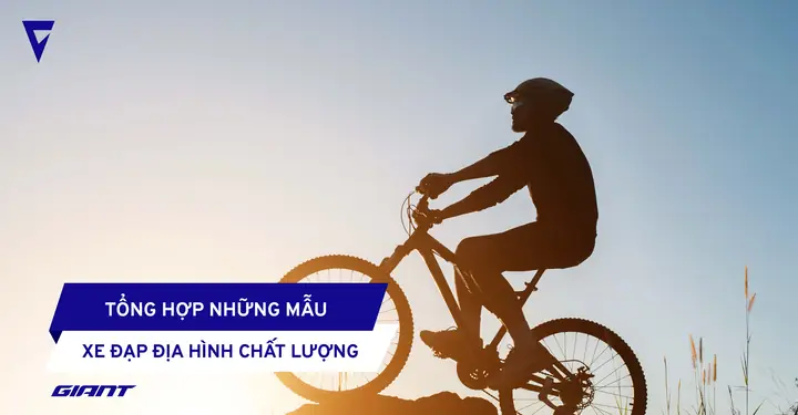 Hướng Dẫn Chọn Xe Đạp Giant Size XS: Bảng Size Chiều Cao, Top Dòng Xe Hot 2024 & Lưu Ý Kỹ Thuật Quan Trọng