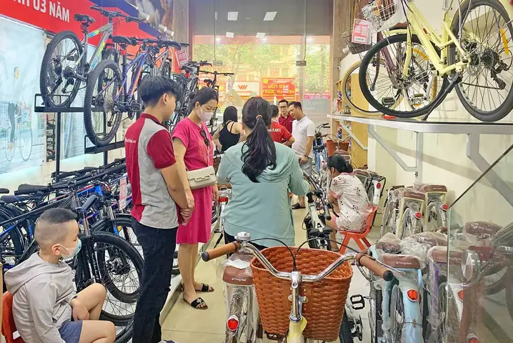 Top Xe Đạp Mini Việt Nam 2025: So Sánh Thống Nhất, Việt Nhật, Nhật Bản & Hướng Dẫn Chọn Size Chuẩn