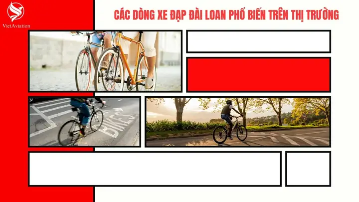 Tư Vấn Chọn Mua Xe Đạp Nhập Khẩu Đài Loan: Top Thương Hiệu, Dòng Xe Nổi Bật & Bí Quyết Nhận Biết Chính Hãng 2025