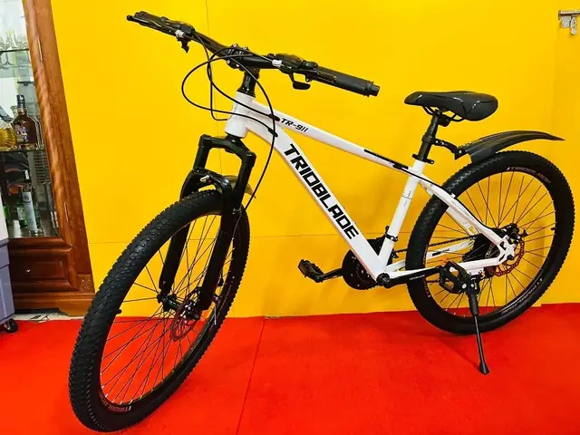 Top Xe Đạp Nữ Dưới 2 Triệu Đáng Mua Nhất 2025: Review Chi Tiết & Bí Quyết Chọn Đúng Size, Đúng Nhu Cầu