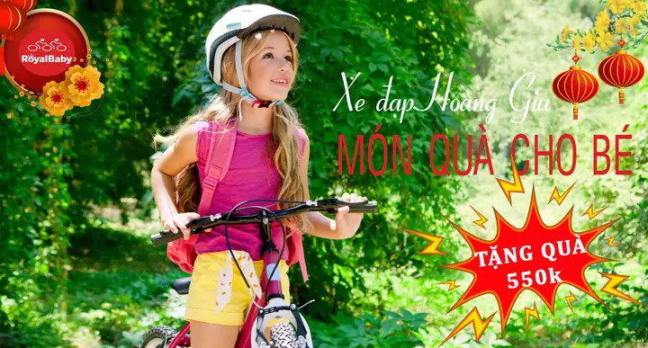 Đánh Giá Và Tổng Hợp Địa Chỉ Mua Xe Đạp Royal Baby Đường Láng Uy Tín Chính Hãng