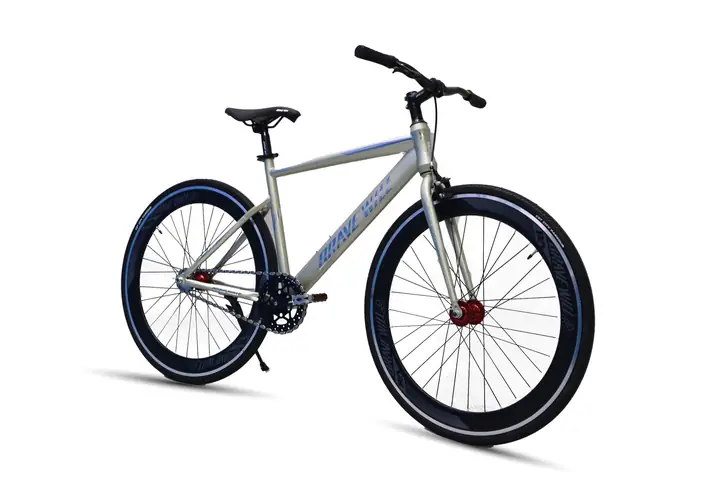 Xe Đạp Sườn Ngang Cổ: Phân Loại, Top Mẫu Hot (kiểu Pháp, Fixed Gear, Touring) & Hướng Dẫn Chọn Mua 2025