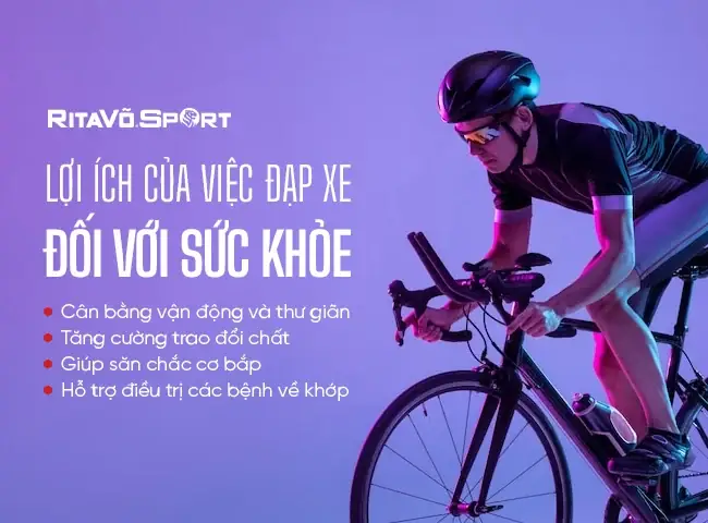 Kinh Nghiệm Chọn Mua Xe Đạp Tập Gym Tốt Nhất Năm 2026 Cho Gia Đình