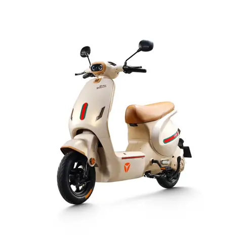 Tổng Hợp Địa Chỉ Cửa Hàng Xe Đạp Thanh Tùng Tại Thủ Đức: Địa Chỉ, SĐT, Giờ Mở Cửa Mới Nhất 2025