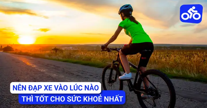 Top 15 Xe Đạp Thể Thao Cho Người Lớn Tuổi 2024: Tổng Hợp Mẫu Đi Đạo & Tập Nhà, Kèm Hướng Dẫn Chọn Theo Sức Khỏe