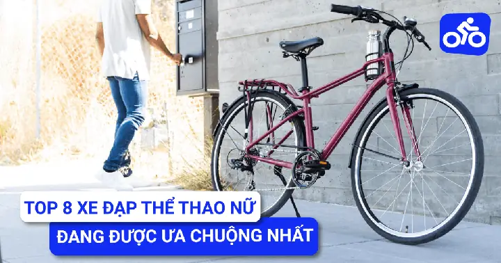 Top 15+ Xe Đạp Thể Thao Tốt Nhất 2025: Gợi Ý Chi Tiết Theo Phân Khúc, Đối Tượng & Ngân Sách