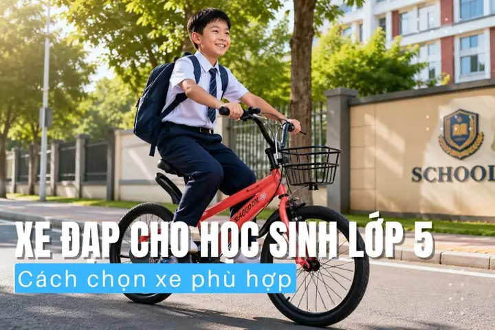 Tổng Hợp Xe Đạp Thể Thao Shimano Chính Hãng: Bảng Giá Và Các Dòng Sản Phẩm Nổi Bật