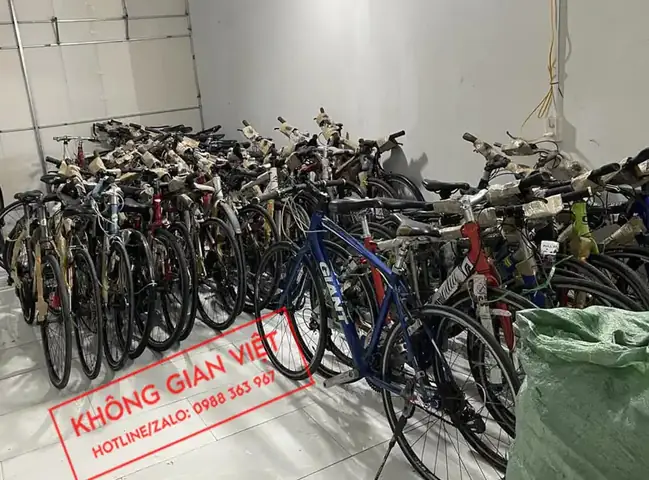 Kinh Nghiệm Chọn Mua Xe Đạp Thủy Thủ Nhật: Phân Biệt Dòng, Kiểm Tra Chất Lượng & Mẹo Tránh Mất Tiền