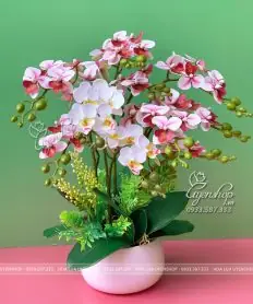 Top 5 Loại Xe Đạp Trang Trí Hoa Phổ Biến: So Sánh Giá, Chất Liệu & Ý Tưởng Trang Trí Đẹp