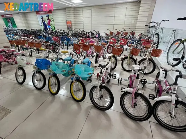 Địa Chỉ Mua Xe Đạp Trẻ Em Bà Triệu: Top Cửa Hàng Uy Tín, Chính Hãng, Hậu Mãi Tốt Nhất
