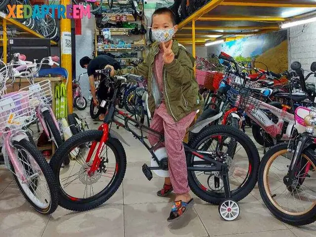 Địa Chỉ Mua Xe Đạp Trẻ Em Bà Triệu: Top Cửa Hàng Uy Tín, Chính Hãng, Hậu Mãi Tốt Nhất