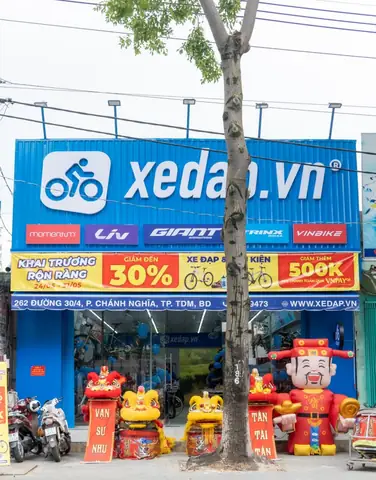 Top Cửa Hàng Xe Đạp Trẻ Em Bình Dương Uy Tín, Chính Hãng 2024: Địa Chỉ, Giá & Cách Chọn Theo Tuổi