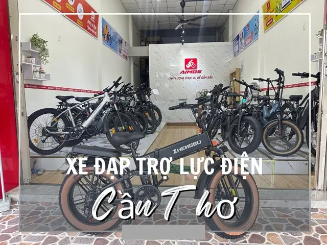 Top Cửa Hàng Xe Đạp Trẻ Em Cần Thơ Uy Tín, Giá Tốt 2024: Tư Vấn Chọn Size, Mẫu Mã & Kinh Nghiệm Mua Đúng Chuẩn