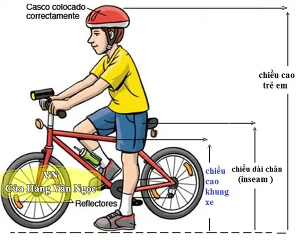 Xe Đạp Trẻ Em Ở Gò Vấp Mua Ở Đâu Uy Tín? Tổng Hợp Các Địa Chỉ Tốt Nhất 2026