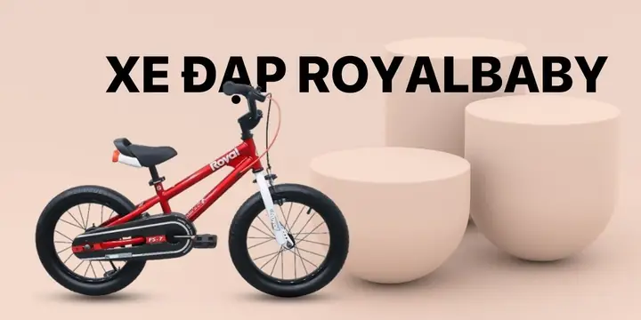 Review & So Sánh Xe Đạp Trẻ Em Royal Baby: Các Dòng Hot, Size Chuẩn, Giá Mới 2024 & Bí Quyết Chọn Mua Chính Hãng