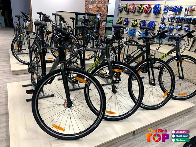 Kinh Nghiệm Mua Xe Đạp Trẻ Em Tại Thái Bình: Top Địa Chỉ Cửa Hàng Uy Tín Nhất Năm 2026 Kinh Nghiệm Mua Xe Đạp Trẻ Em Tại Thái Bình: Top Địa Chỉ Cửa Hàng Uy Tín Nhất Năm 2026