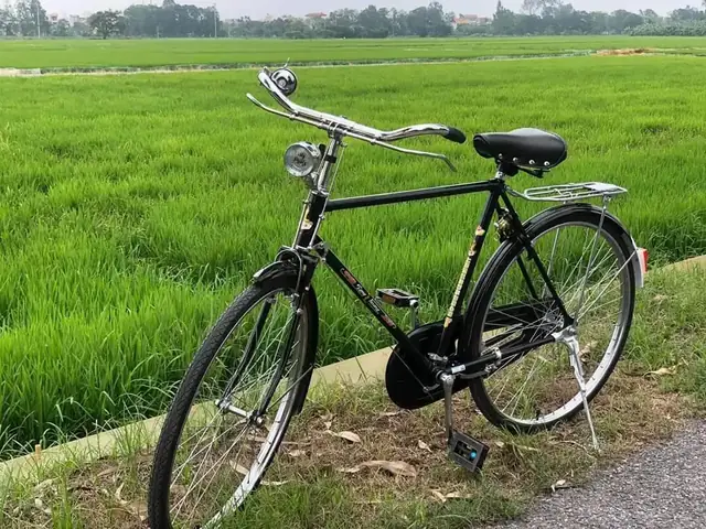 Xe Đạp Trung Quốc Xưa: Lịch Sử, Các Dòng Đại Diện (phượng Hoàng, Vĩnh 9) & Bí Quyết Phân Biệt Thật/giá Trị Sưu Tầm